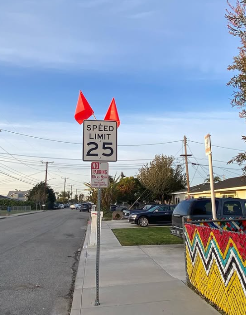 Speed limit sign 25 with red flags, on a suburban street with colorful fence.